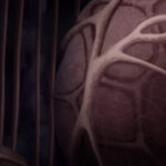 [SubsPlease] Fumetsu no Anata e S3 - 17