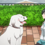 [SubsPlease] Kirei ni Shite Moraemasu ka. - 12