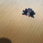 [SubsPlease] One Piece - 1156